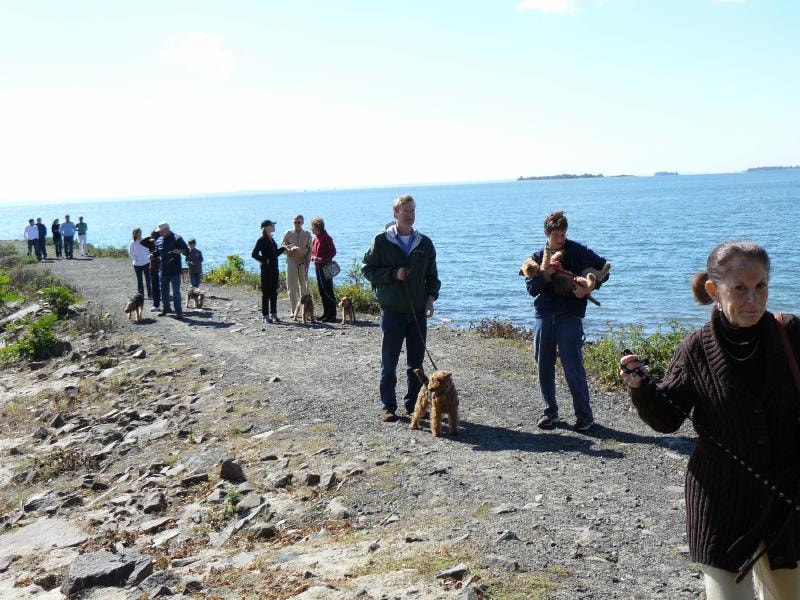 Club members and Welsh Terriers on a rocky shoreline